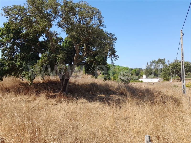 Herdade T4 Grândola, Grândola e Santa Margarida da Serra - 1492052 - 14