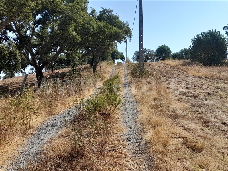 Herdade T4 Grândola, Grândola e Santa Margarida da Serra - 1492052 - 15