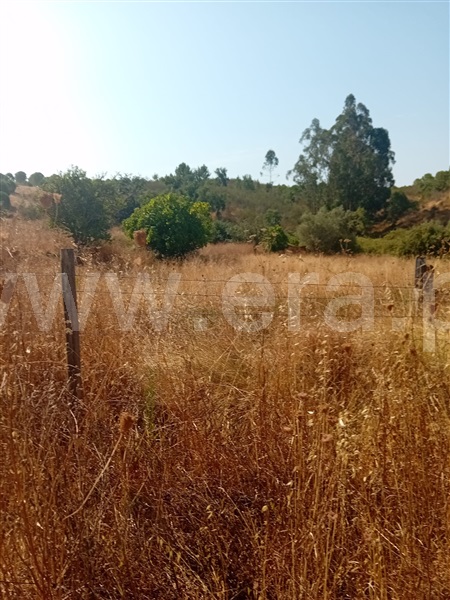 Herdade T4 Grândola, Grândola e Santa Margarida da Serra - 1492052 - 17
