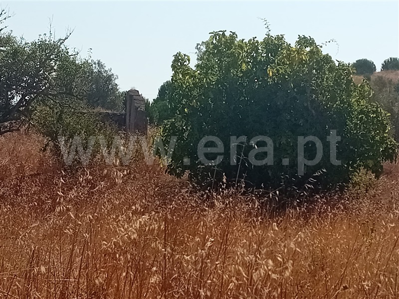 Herdade T4 Grândola, Grândola e Santa Margarida da Serra - 1492052 - 20