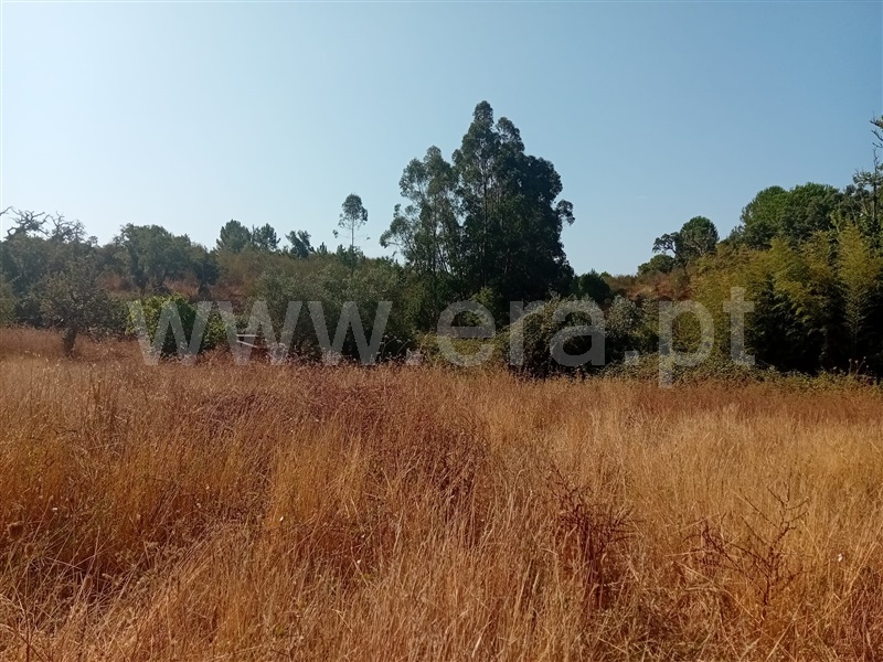 Herdade T4 Grândola, Grândola e Santa Margarida da Serra - 1492052 - 24