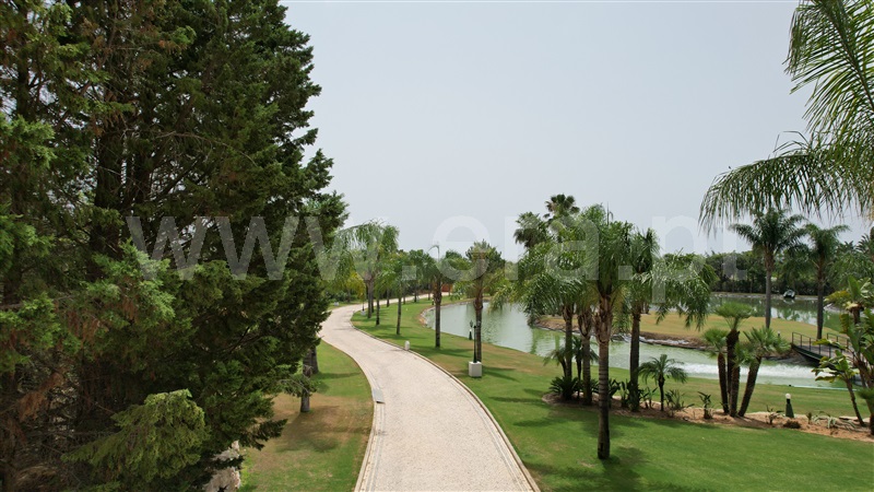 Herdade T4 com Luxo Olhão, Pechão - 1237895 - 46