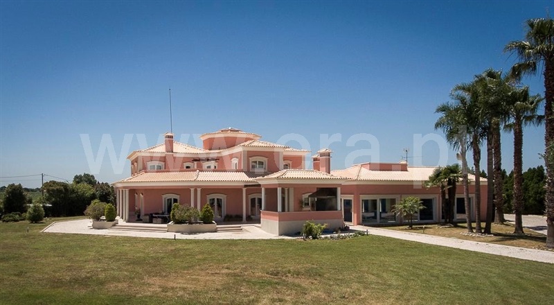 Herdade T5 Aveiro, Requeixo, Nossa Senhora de Fátima e Nariz - 1495796 - 12