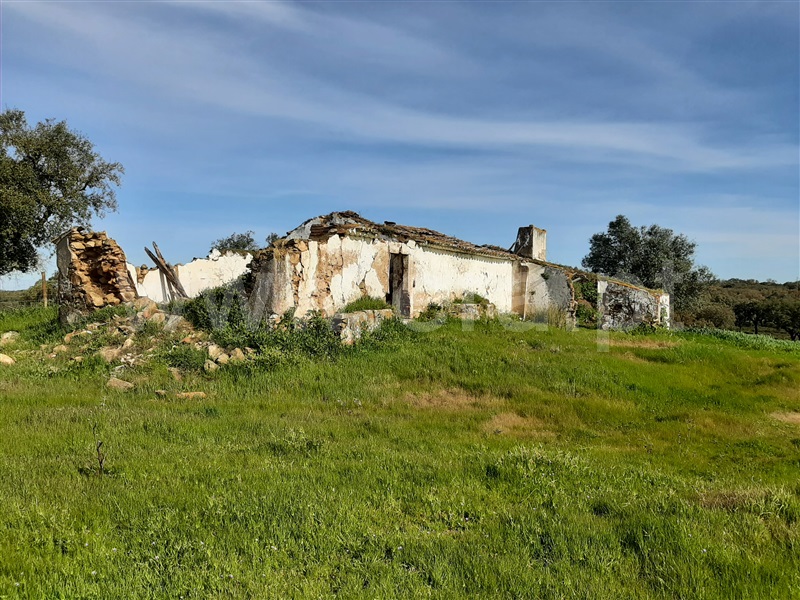 Herdade T5 Montemor-o-Novo, Nossa Senhora da Vila, Nossa Senhora do Bispo e Silveiras - 1163234 - 3