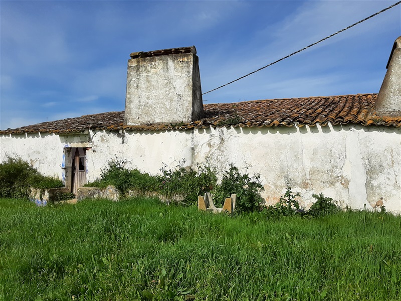 Herdade T5 Montemor-o-Novo, Nossa Senhora da Vila, Nossa Senhora do Bispo e Silveiras - 1163234 - 5