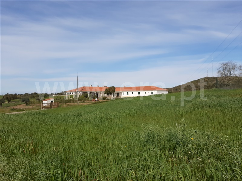 Herdade T5 Montemor-o-Novo, Nossa Senhora da Vila, Nossa Senhora do Bispo e Silveiras - 1163234 - 6