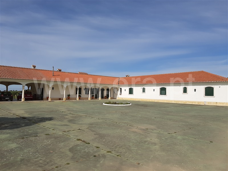 Herdade T5 / Montemor-o-Novo, Nossa Senhora da Vila, Nossa Senhora do Bispo e Silveiras