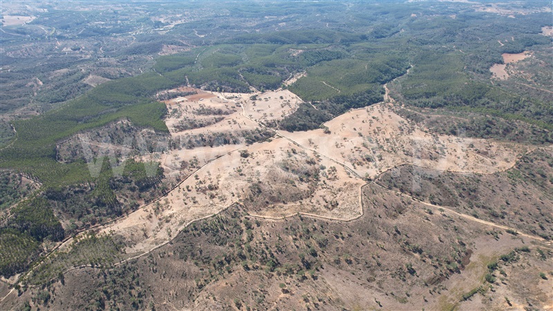 Herdade T5 Odemira, Relíquias - 1357816 - 8