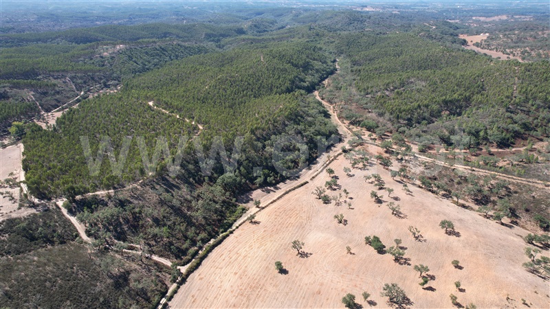 Herdade T5 Odemira, Relíquias - 1357816 - 11