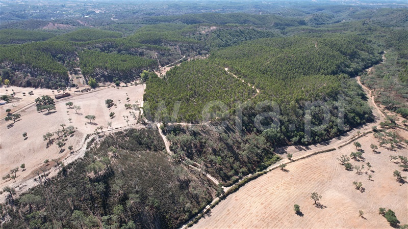 Herdade T5 Odemira, Relíquias - 1357816 - 12