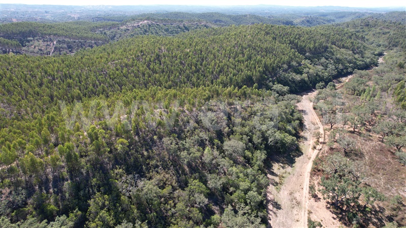 Herdade T5 Odemira, Relíquias - 1357816 - 15