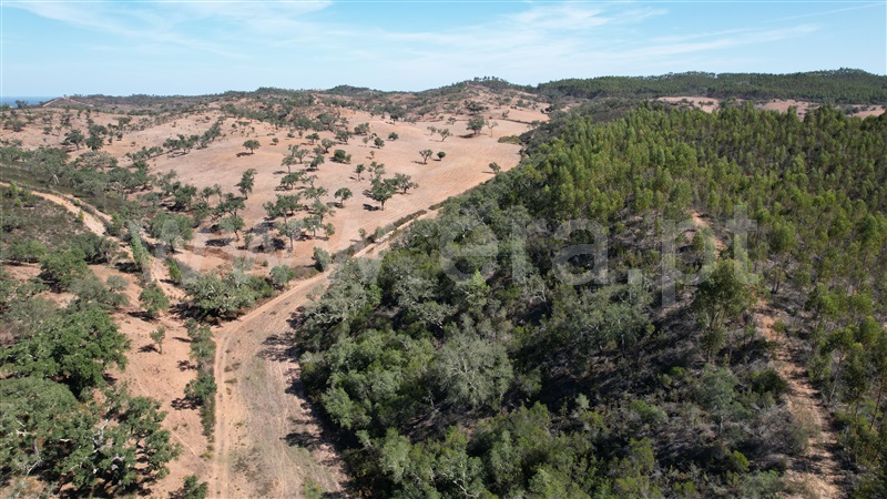 Herdade T5 Odemira, Relíquias - 1357816 - 17