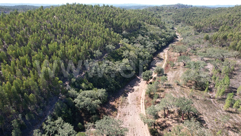 Herdade T5 Odemira, Relíquias - 1357816 - 18