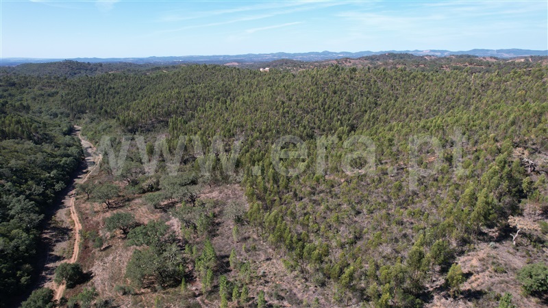Herdade T5 Odemira, Relíquias - 1357816 - 19