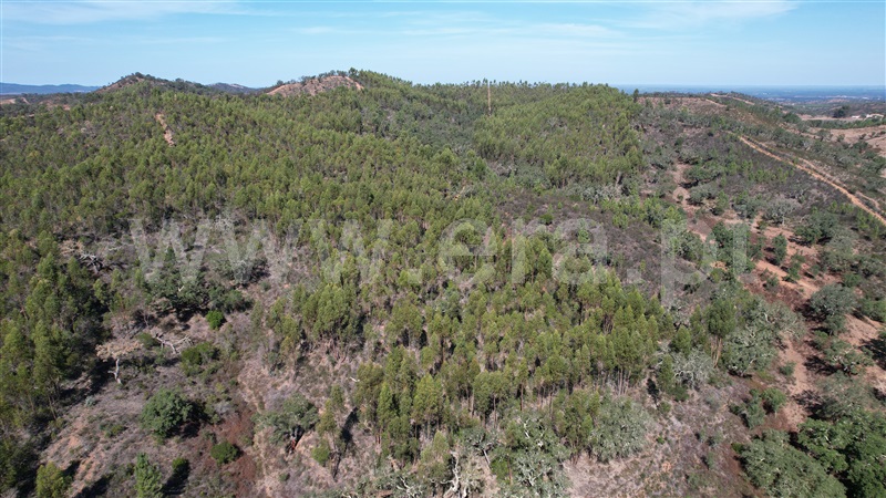 Herdade T5 Odemira, Relíquias - 1357816 - 20