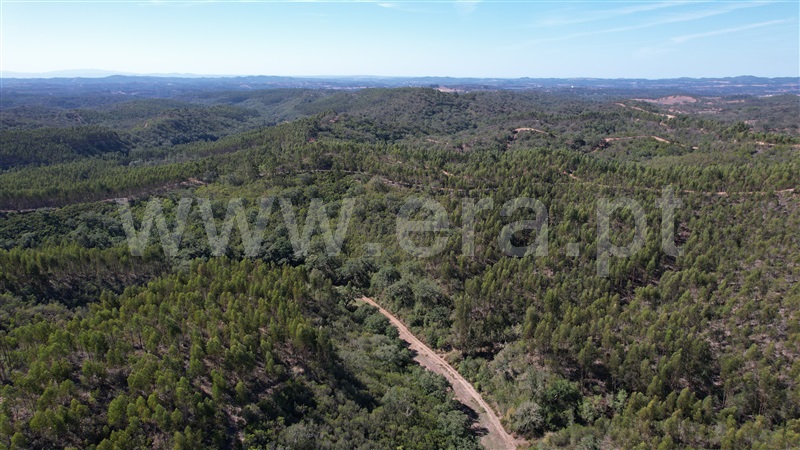 Herdade T5 Odemira, Relíquias - 1357816 - 22