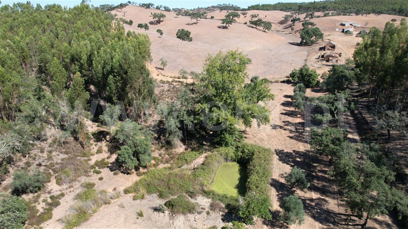 Herdade T5 Odemira, Relíquias - 1357816 - 26