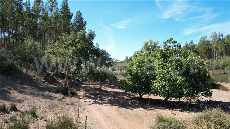Herdade T5 Odemira, Relíquias - 1357816 - 30