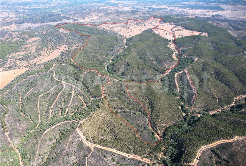 Herdade T5 / Odemira, Relíquias