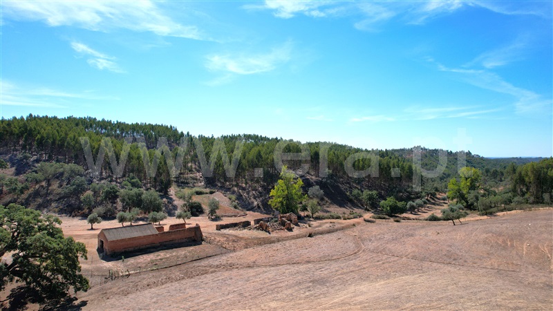 Herdade T5 Odemira, Relíquias - 1357816 - 34