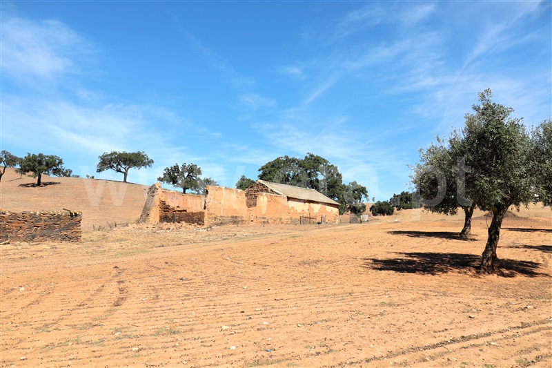 Herdade T5 Odemira, Relíquias - 1357816 - 38