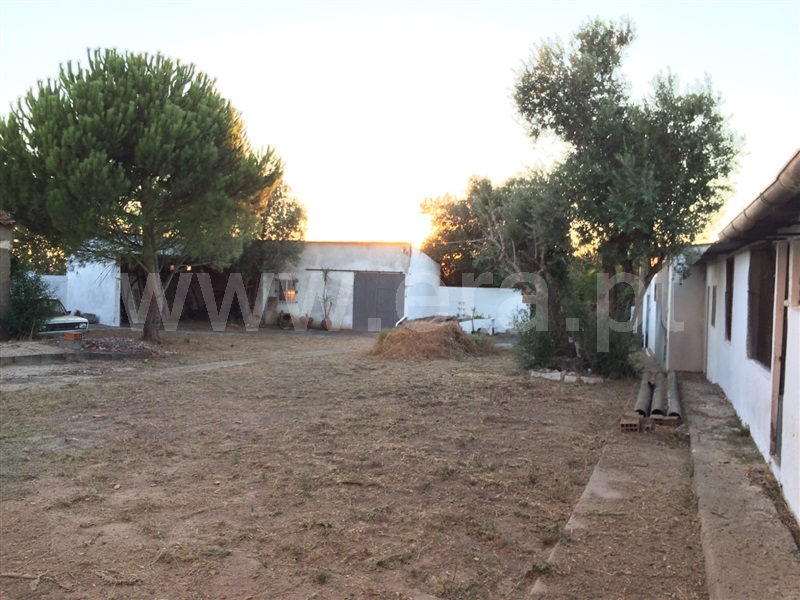 Herdade T5 Torres Novas, Olaia e Paço - 1453068 - 1