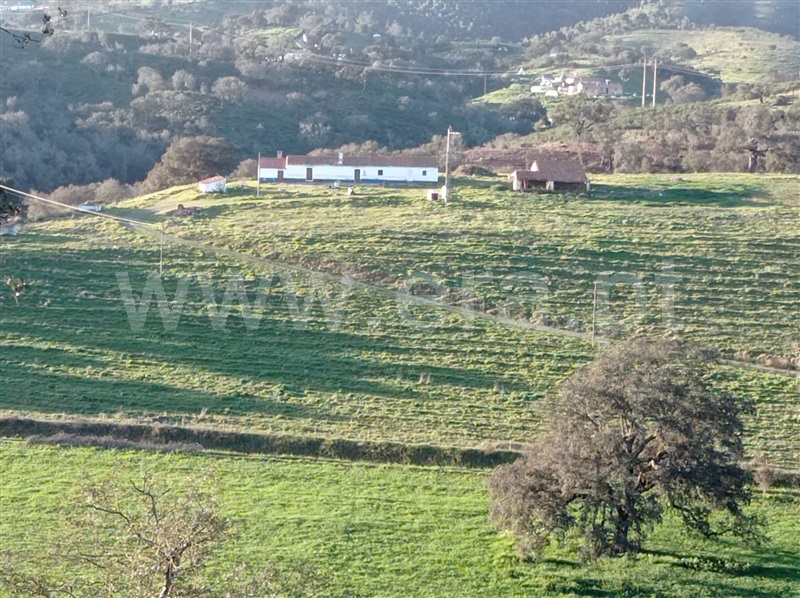 Herdade T6 Odemira, Relíquias - 1315265 - 3