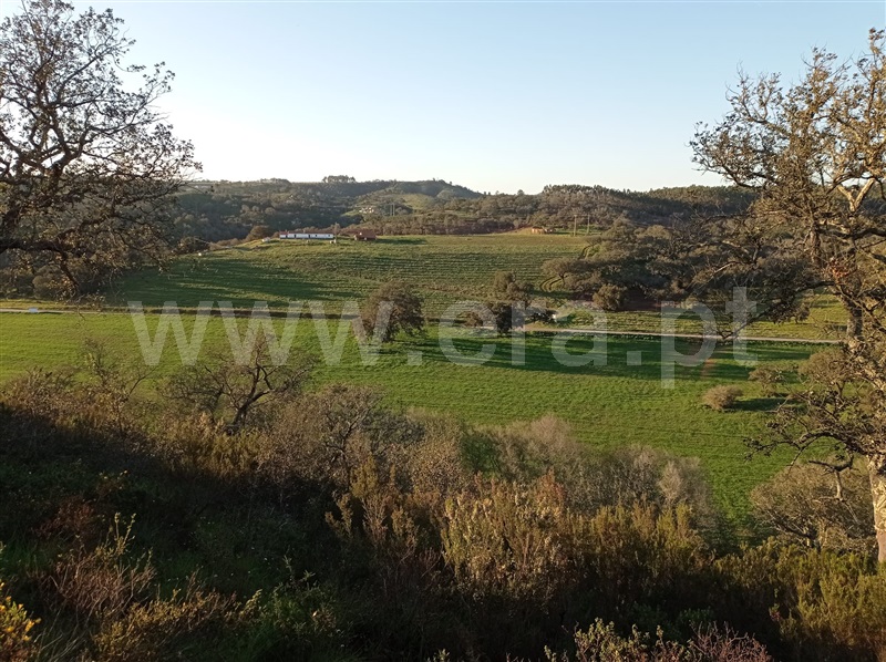 Herdade T6 Odemira, Relíquias - 1315265 - 5