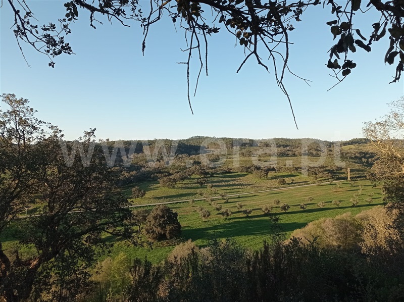 Herdade T6 Odemira, Relíquias - 1315265 - 6