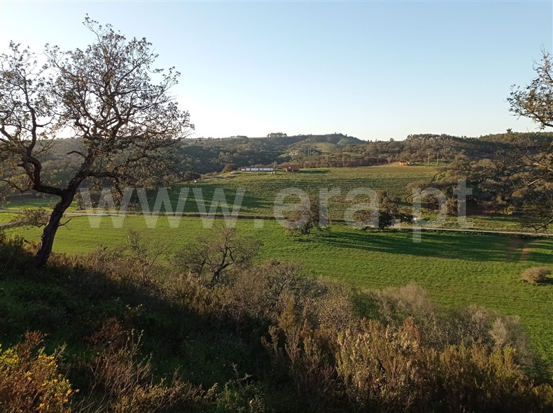 Herdade T6 Odemira, Relíquias - 1315265 - 7