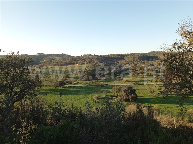 Herdade T6 Odemira, Relíquias - 1315265 - 8