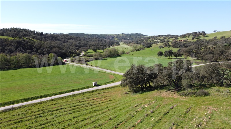 Herdade T6 Odemira, Relíquias - 1315265 - 12