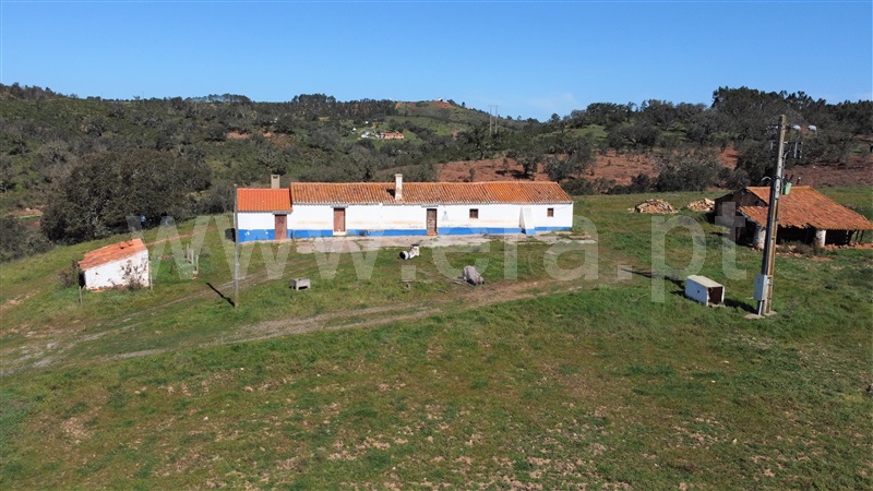 Herdade T6 Odemira, Relíquias - 1315265 - 13