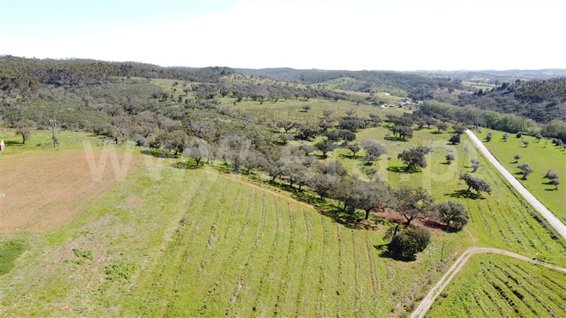 Herdade T6 Odemira, Relíquias - 1315265 - 17
