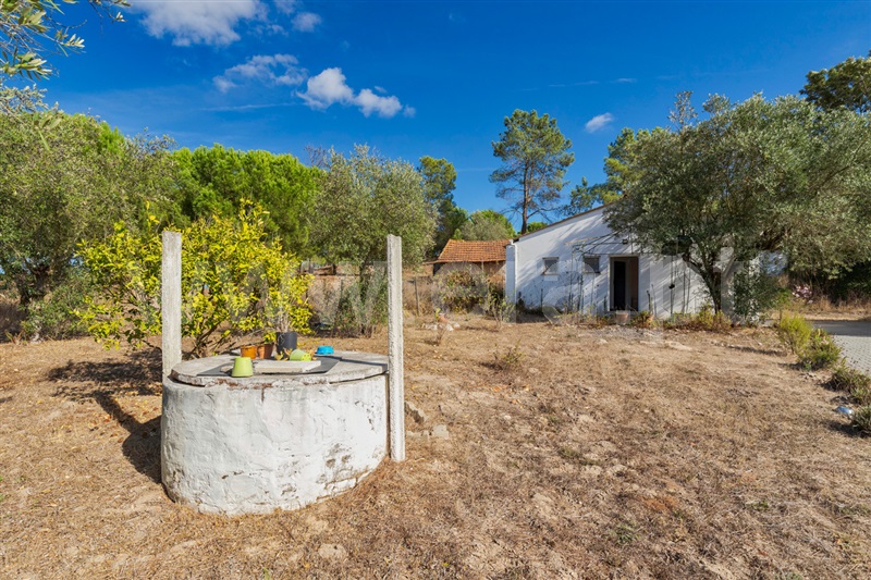 Herdade T5 Coruche, Coruche - 1386010 - 33