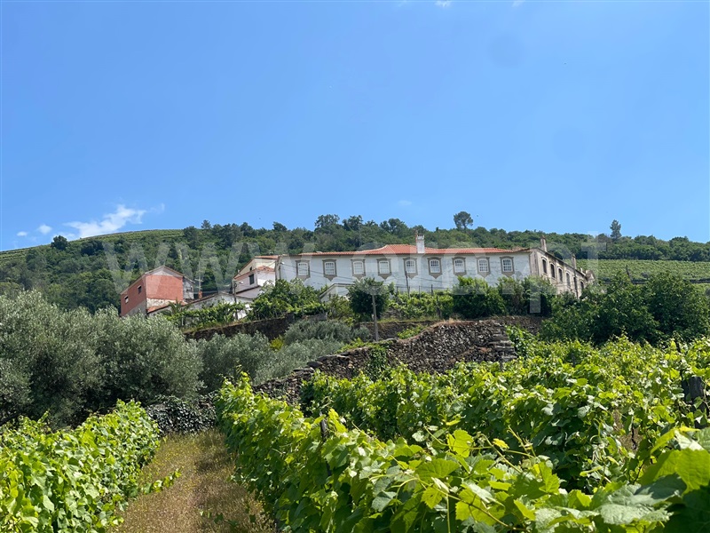 Herdade T8 Peso da Régua, Poiares e Canelas - 1320718 - 35