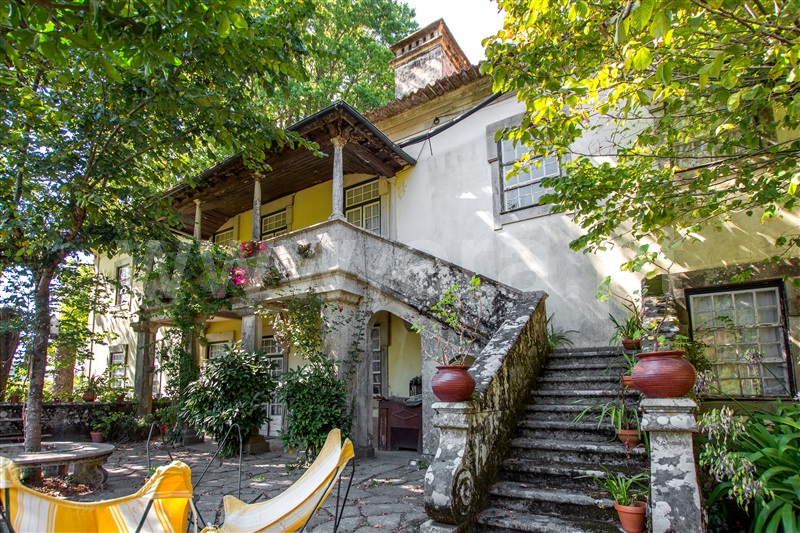 Herdade T9 / Caminha, Âncora