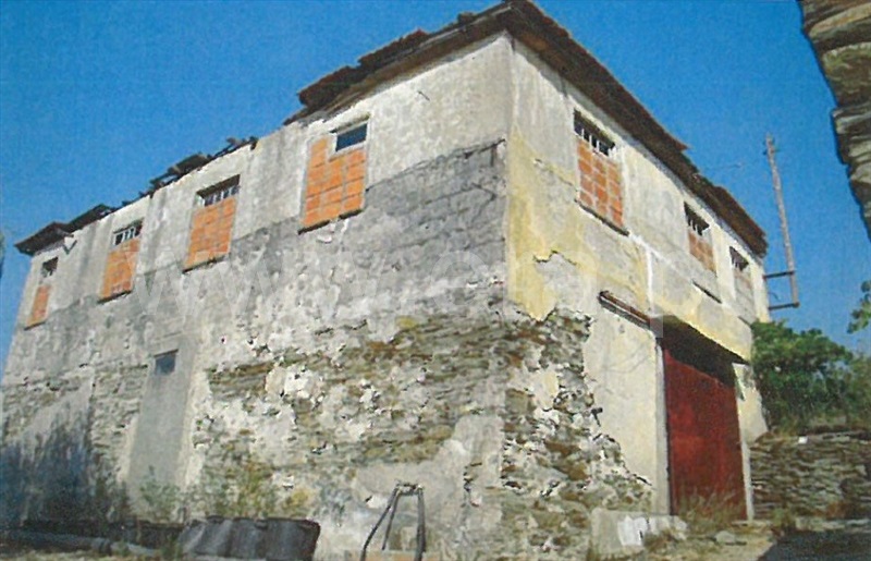 Herdade  Tabuaço, Barcos e Santa Leocádia - 1390080 - 12