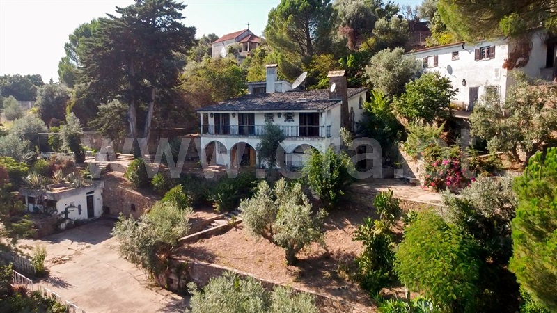 Quinta  Tomar, São Pedro de Tomar - 1498402 - 7