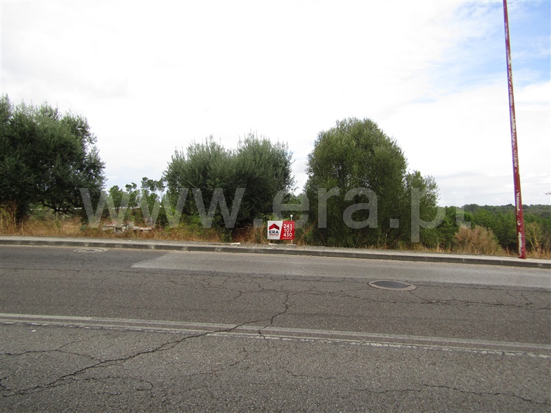 Lote / Abrantes, Abrantes