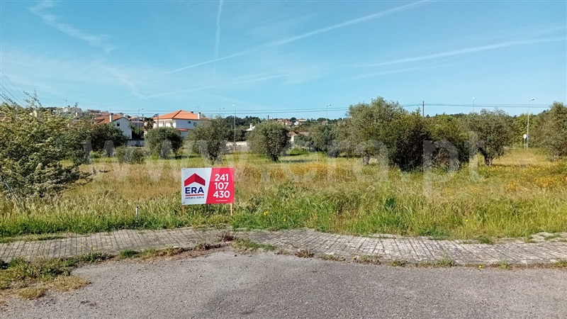 Lote / Abrantes, Chainça