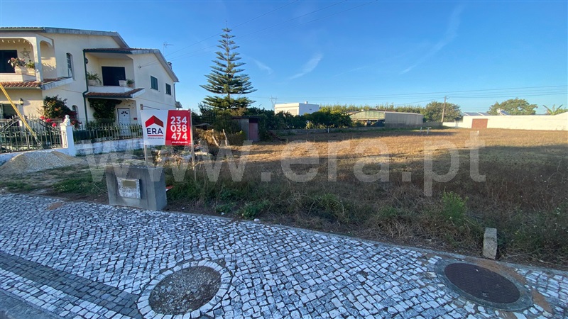 Lote / Águeda, Trofa