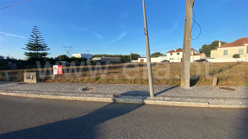 Lote / Águeda, Trofa