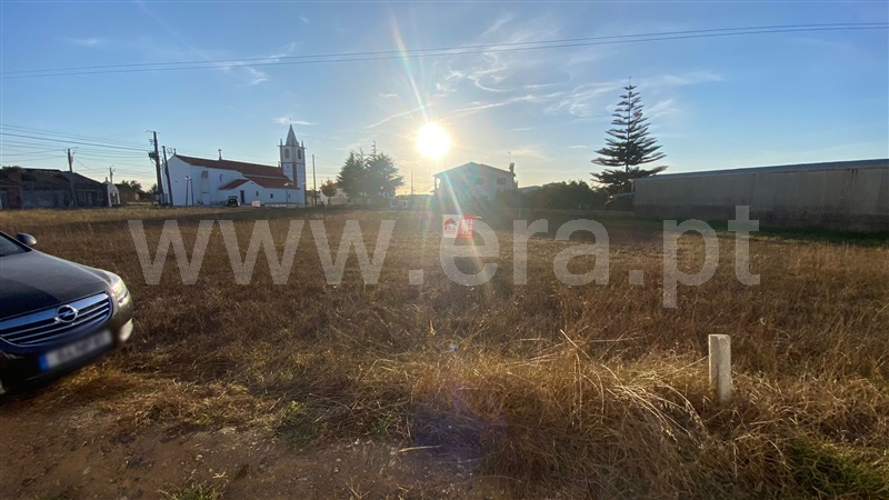 Lote / Águeda, Trofa