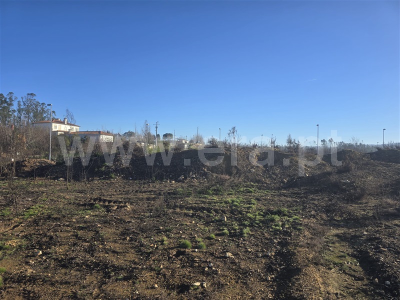 Lote / Águeda, Valongo do Vouga
