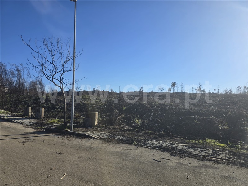 Lote  Águeda, Valongo do Vouga - 1485438 - 2