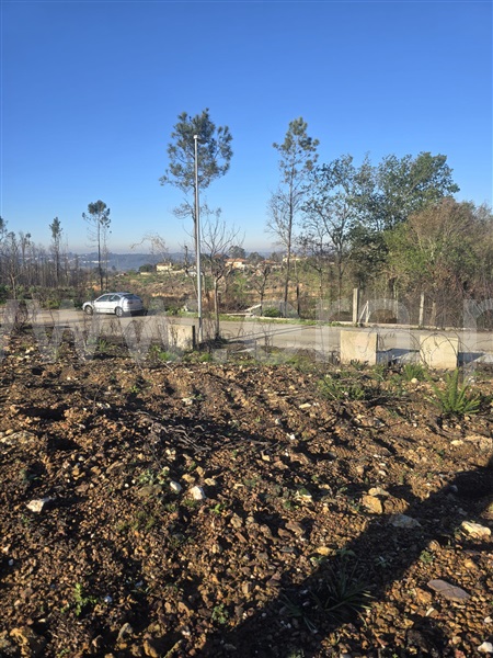 Lote  Águeda, Valongo do Vouga - 1485438 - 3