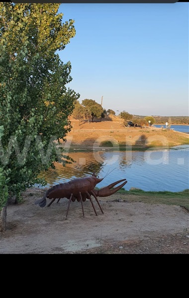 Lote  Alandroal, Terena (São Pedro) - 1453377 - 10