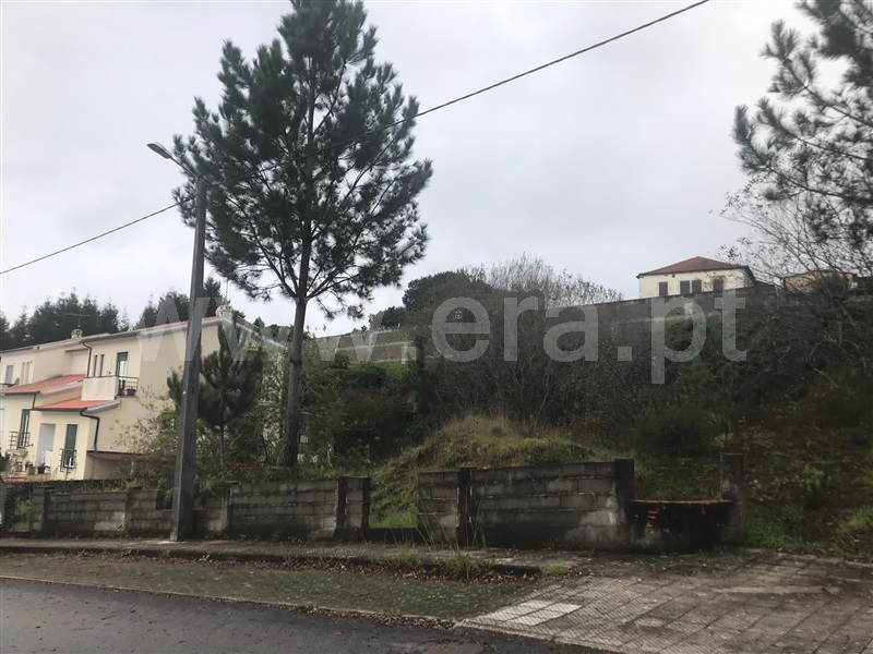 Lote / Albergaria-a-Velha, Ameal
