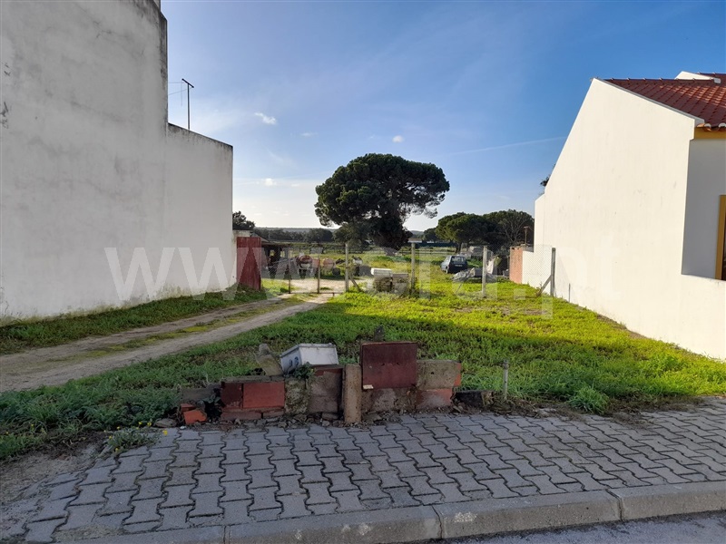 Lote / Alcácer do Sal, Alcácer do Sal (Santa Maria do Castelo e Santiago) e Santa Susana